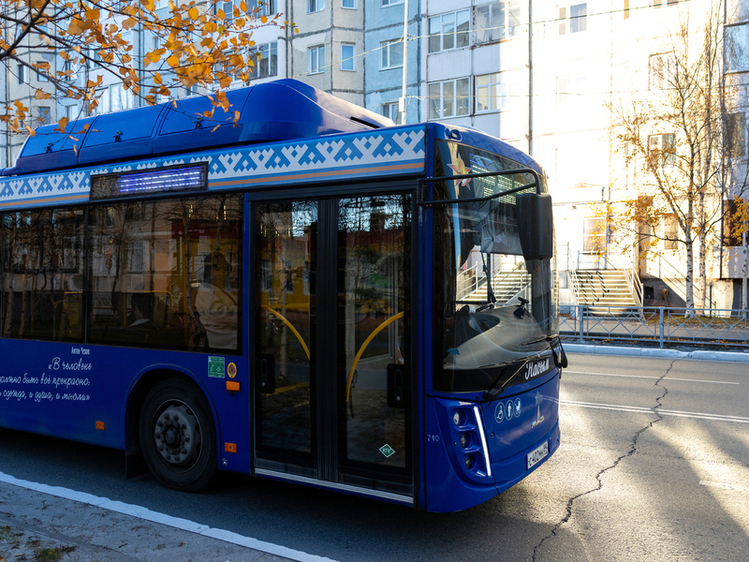 Туманное расписание: автобус № 9 исчезает из линии, оставляя надымчан в стужу