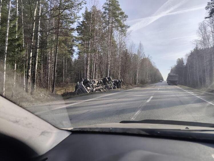 Трагедия на просеке: фура сбила двоих, убирающих мусор в лесополосе