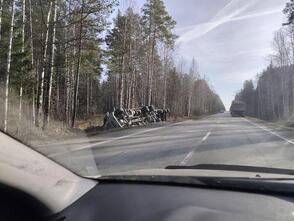 Трагедия на просеке: фура сбила двоих, убирающих мусор в лесополосе